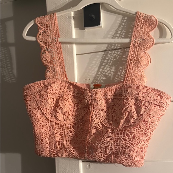 FARM Rio Pink Embellished Bustier corser giupure lace Top - Picture 3 of 5